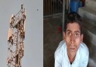 आत्महत्या करने के लिए मोबाइल टावर पर चढ़ा युवक, उतारने के लिए घंटों चला हाई वोल्टेज ड्रामा