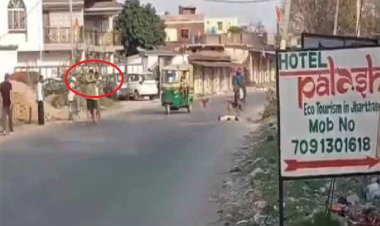 राइफल लेकर घूम रहे शख्स ने कुत्ते को मारी गोली
