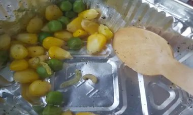 पटना-हावड़ा वंदे भारत में यात्री के नाश्ते में मिला कीड़ा