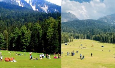 पहलगाम हमले की जांच में हैरान करने वाला खुलासा, 20 लोगों की पैंट खुली थी