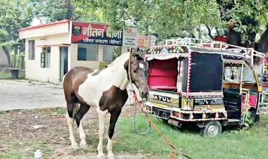 बिहार: पुलिस ने घोड़े को किया गिरफ्तार, वजह जानकर आप भी रह जाएंगे हैरान