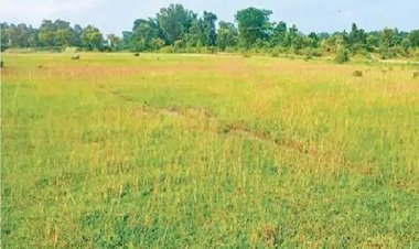 जमशेदपुर में बनेगा अंतरराष्ट्रीय क्रिकेट स्टेडियम, 49.50 एकड़ जमीन चिन्हित