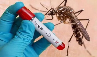 स्वच्छता में राष्ट्रपति से सम्मानित जमशेदपुर में डेंगू से 2 महिलाओं की मौत, अब तक 21 मरीजों की पहचान