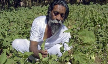 माटी का बेटा,माटी में लौटा : मिट्टी का ऋण कभी खत्म नहीं होता और शिबू सोरेन उसी की आवाज थे- मिथिलेश ठाकुर