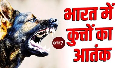 भारत में हर साल रेबीज से जाती है 20 हजार लोगों की जा'न, अकेले 2024 में दर्ज हुआ 37 लाख से अधिक कुत्तों के का'टने का मामला