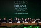 From the Amazon to the World: What Brazil's Climate Summit  Means for Our Future