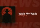 Chart-Breaker or Code-Maker? Inside the AI Mystery of ‘Walk My Walk’