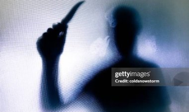 Why we Fear and Fascinate The mind of a Killer ?