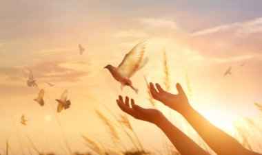 5 Simple Ways to Take Care of Your Soul in a Busy World